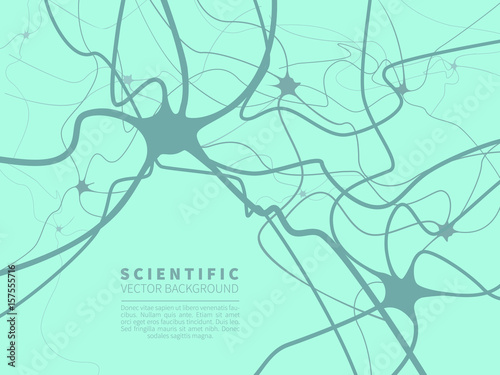 model of neural system photo