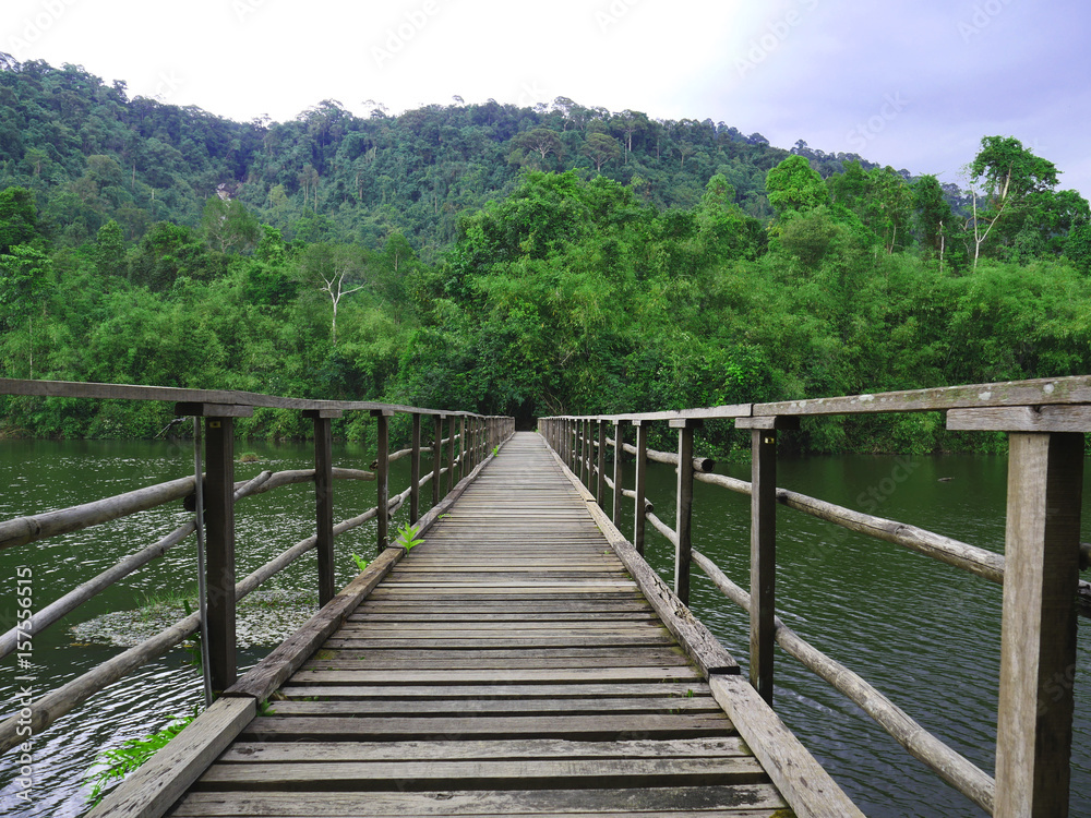 Wood bridge to the Asian forest 