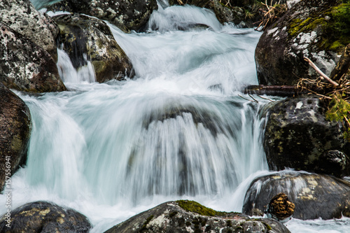 Forest stream running over mossy rocks.