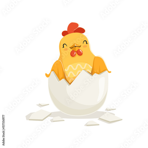 Cute cartoon rooster with broken chicken egg shell colorful character vector Illustration