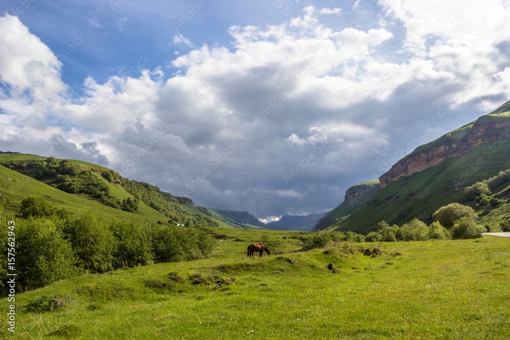 Горный пейзаж, живописная долина в горах, красивый вид на зеленые холмы, небо в облаках, панорама горной местности, дикая природа Северного Кавказа