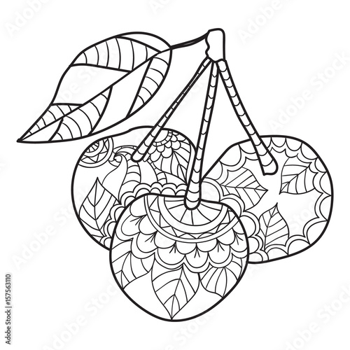 Coloring pages for adults. Cherry sketch. Fruits vector illustration.