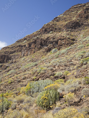 Western Gran Canaria, May photo