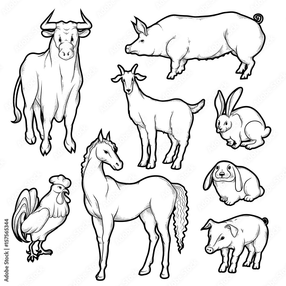 Vector black and white sketch set of isolated farm animals. Collection of  silhouettes agricultural pets. Horse rooster pig rabbit goat and cow on the  label for organic products or advertising flyers. Stock