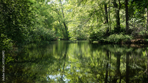 Tiergarten - the heart of Berlin is pure and green.