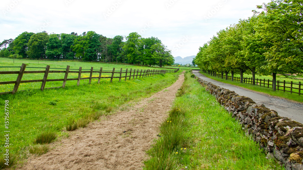 Bridle path beside country road with fence and stone wall.