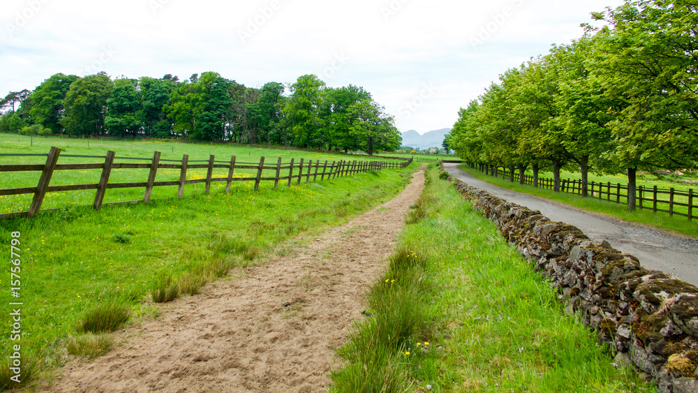 Bridle path beside country road with fence and stone wall. Bridle path beside country road with fence and stone wall.