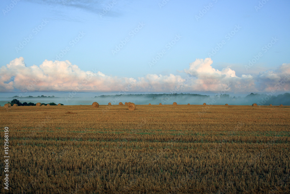 Fototapeta premium sunrise in field,latvia