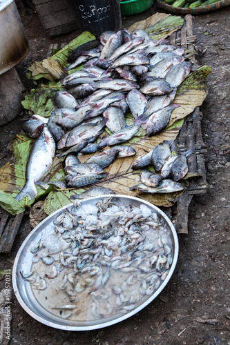 Myanmar  - Maymyo Market photo