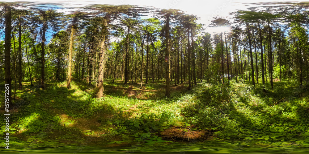 Naklejka premium 360 degrees spherical panorama of european forest with blue sky in the summer