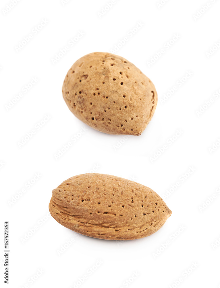 Single almond nut isolated Single almond nut isolated