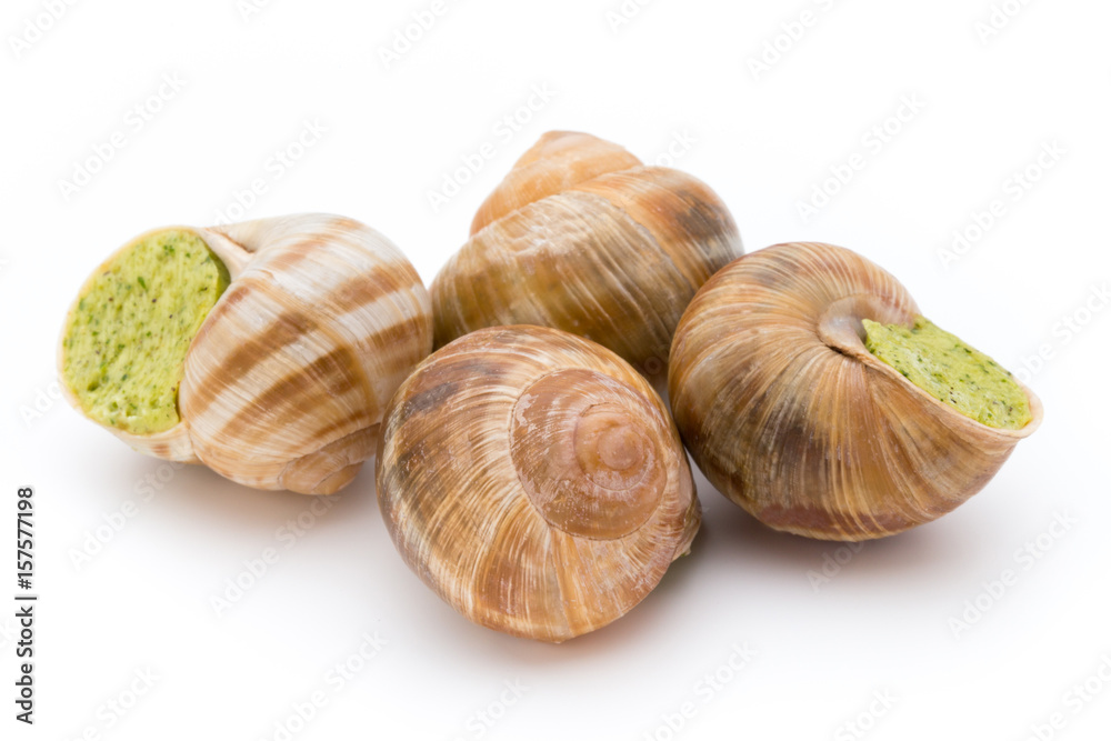 Cooked snails delicacy. French cuisine stuffed snails. Cooked snails delicacy. French cuisine stuffed snails.