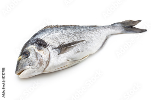 Картината върху платно Fresh bream sea isolated on white background.