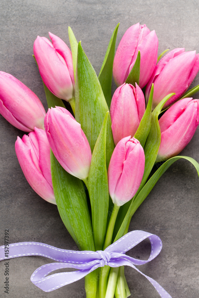 Tulip pink, on the gray background. Tulip pink, on the gray background.