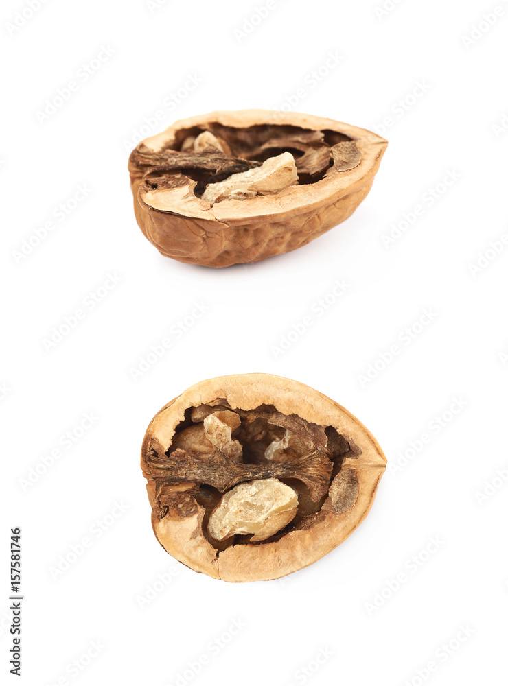 Cracked walnut composition isolated