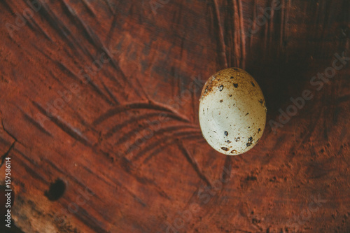 Huevos de codorniz 