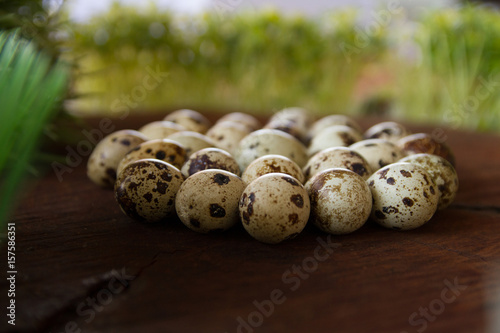 Huevos de codorniz 
