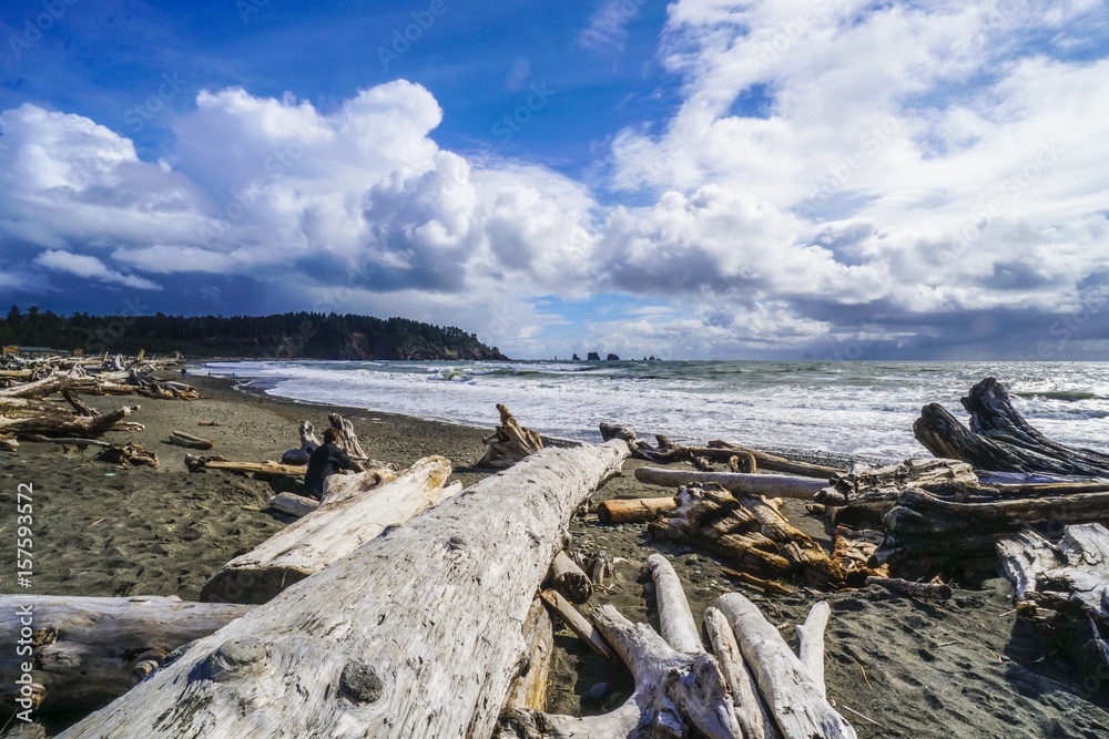 Amazing La Push Beach in the Quileute Indian reservation - FORKS - WASHINGTON
