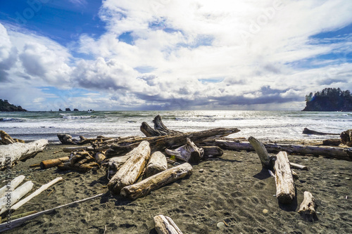 The forested trail on La Push Beach - FORKS - WASHINGTON © 4kclips