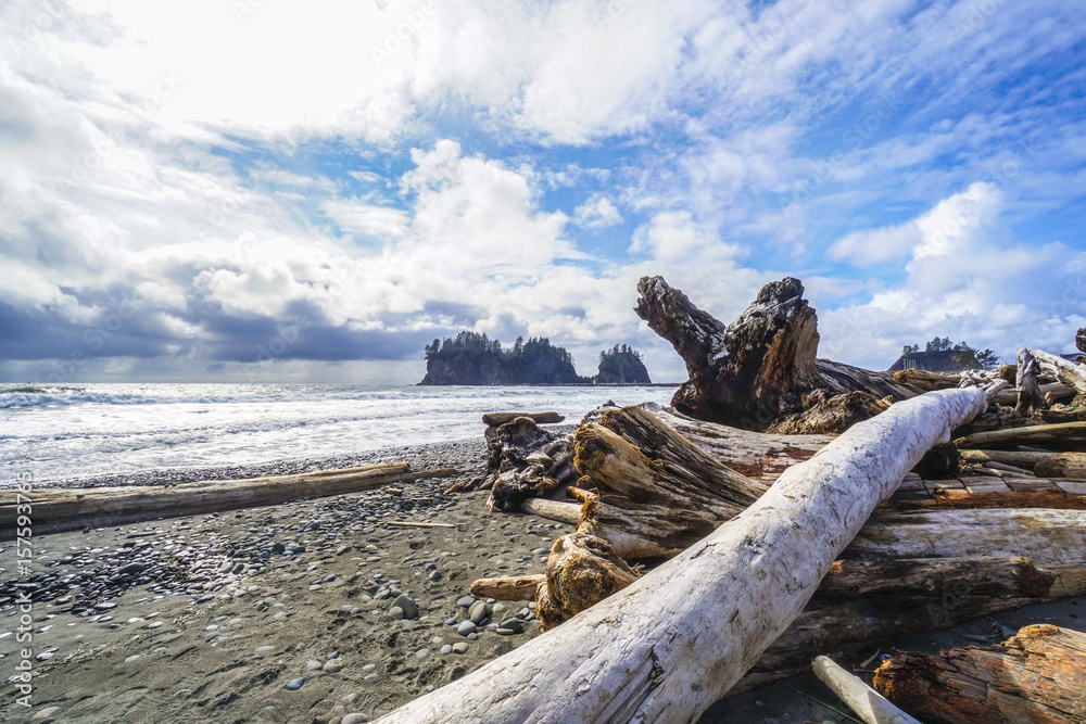 Amazing La Push Beach in the Quileute Indian reservation - FORKS - WASHINGTON Amazing La Push Beach in the Quileute Indian reservation - FORKS - WASHINGTON