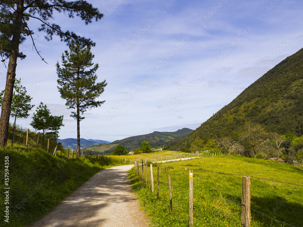 Fototapeta premium Sendero dentro de un paisaje de montañas rodeado de césped en Vizcaya, País Vasco, visitado en Abril de 2017