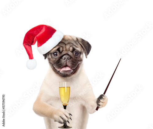 Dog in christmas hat holding glass of champagne and pointing stick. isolated on white background © Ermolaev Alexandr