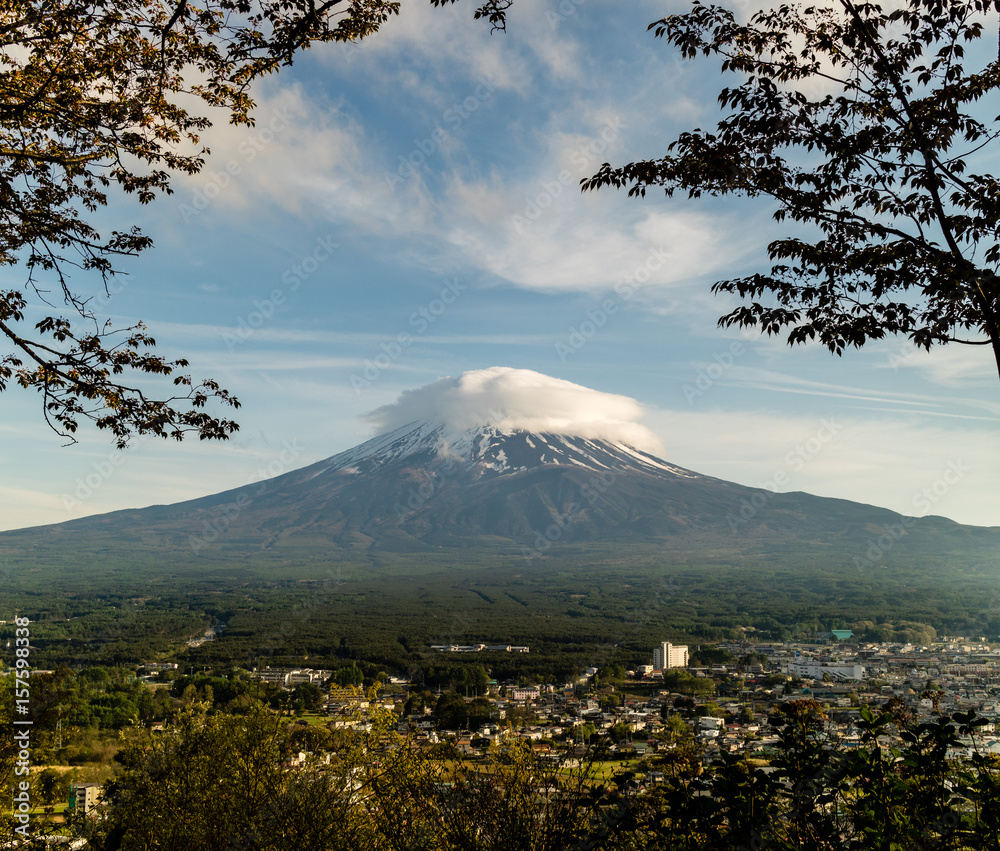Fototapeta premium Mount Fuji Framed by Trees