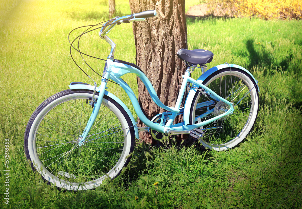 Blue bicycle parked near tree in park