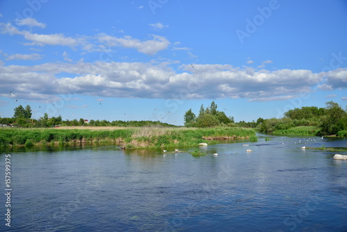 Seagulls sitting on the rocks in the middle of the river Sunny day