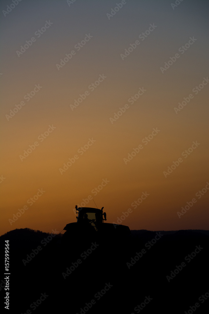 Fototapeta premium 夕暮れの農作業