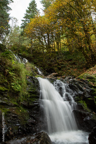 Fishhawk falls