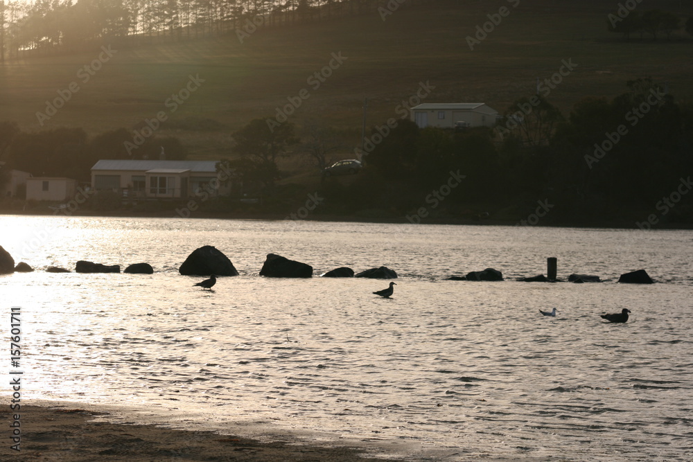Fototapeta premium river mouth early morning #1