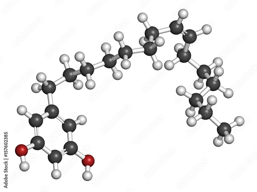 Bilobol ginkgo biloba molecule. 3D rendering. Atoms are represented as spheres with conventional color coding: hydrogen (white), carbon (grey), oxygen (red). Bilobol ginkgo biloba molecule. 3D rendering. Atoms are represented as spheres with conventional color coding: hydrogen (white), carbon (grey), oxygen (red).