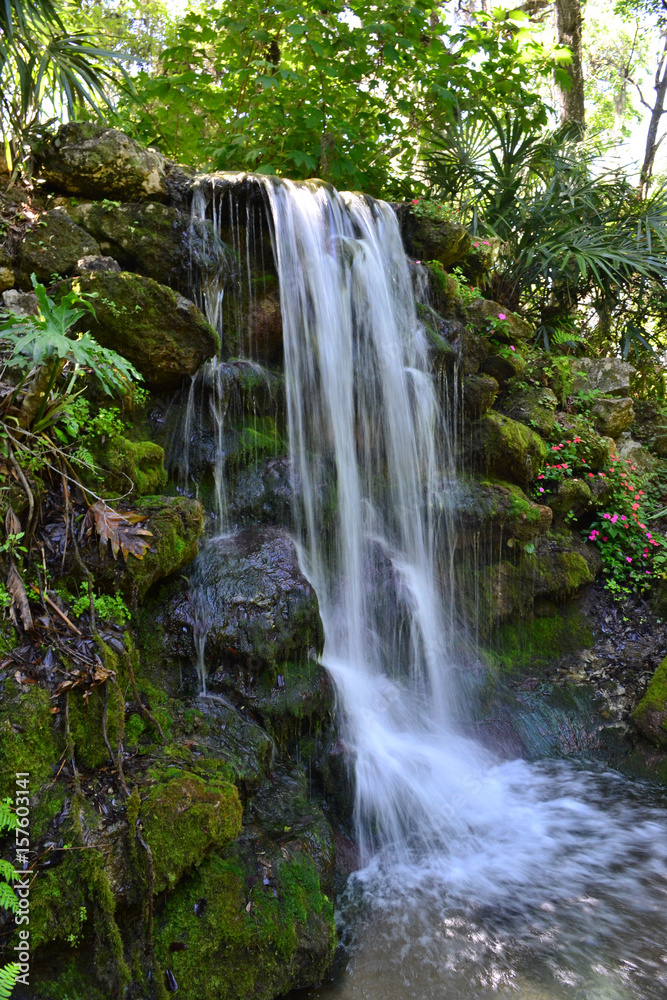 Fototapeta premium Waterfall