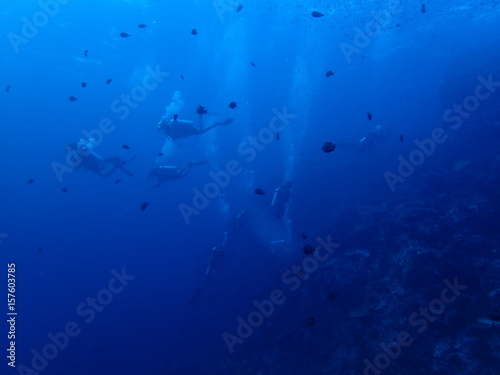 インド洋を泳ぐダイバーのグループ © nori