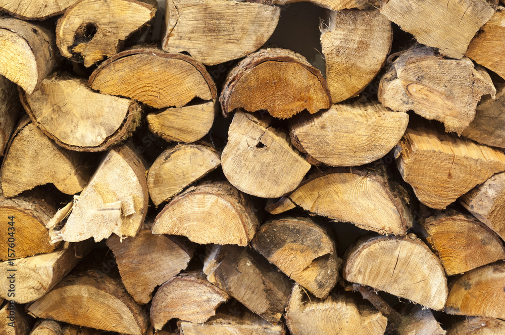 Fototapeta premium Stacked Cut Fire Wood for Backgrounds