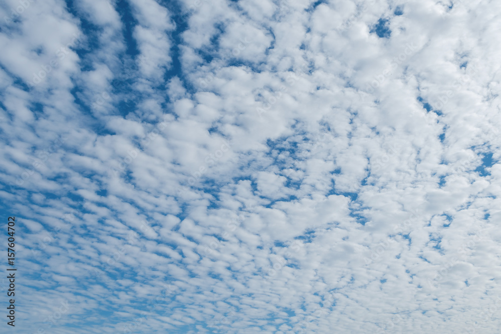 Altocumulus cloudscape on blue blue sky, Beautiful Cirrocumulus or Altocumulus on the middle altitude layer