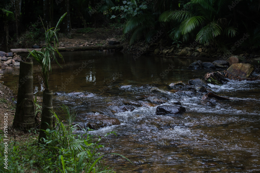 small river of waters clear with bridge of trunk of wood on the bottom small river of waters clear with bridge of trunk of wood on the bottom