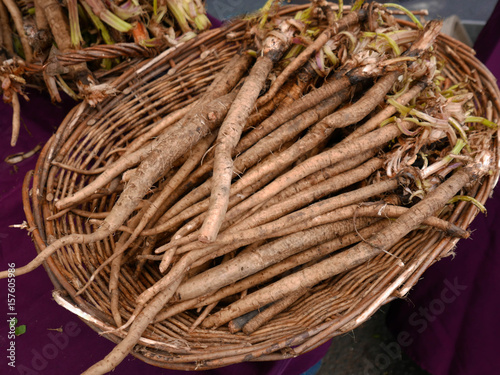 Basket of Burdock Rock