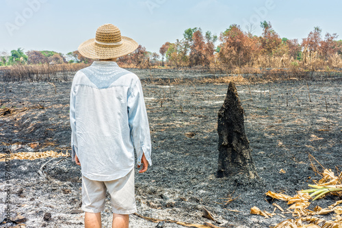 Poor farmer looking to his burnt agricultural field. The area was damaged from bushfire.
