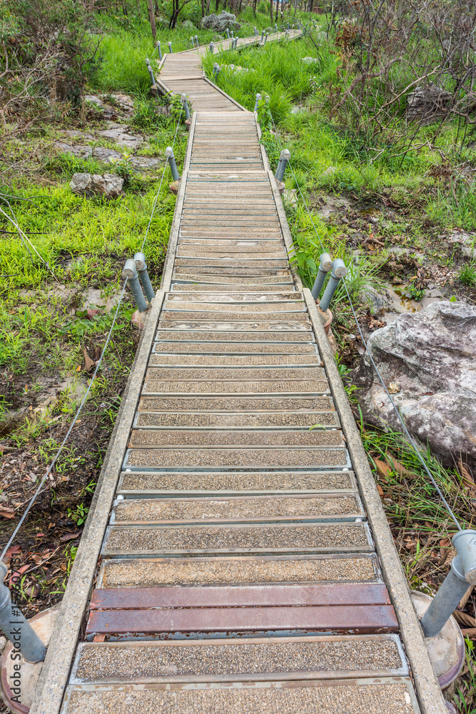 Long walkway at savanna in Thailand. For natural walks to study a mixed woodland grassland ecosystem.