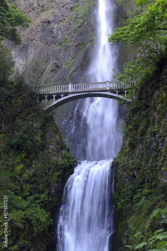 Fototapeta Naklejka Na Ścianę i Meble -  Multnomah Falls and foot bridge in lush green setting near Mount Hood and Portland Oregon in the Columbia River Gorge region, USA