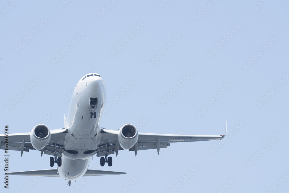 Obraz premium Flighted airliner