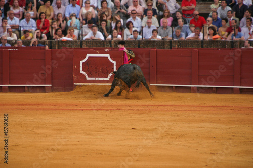 Bullfight - Arena in Seville