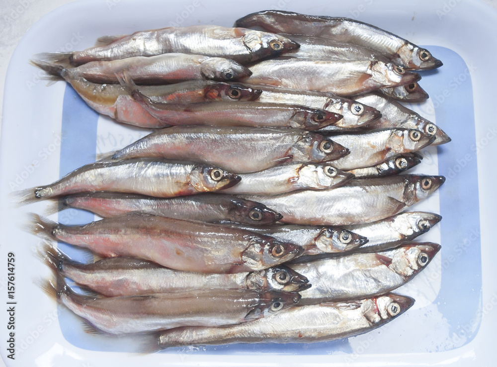 Raw fish capelin Raw fish capelin