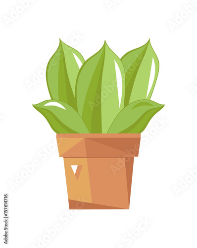 Succulent cactus in pot isolated icon. Plants indoor room  houseplant  floral interior decoration design element vector illustration.