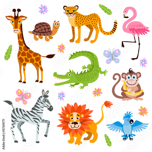 Fototapeta Naklejka Na Ścianę i Meble -  Cute jungle and safari animals vector set for kids book