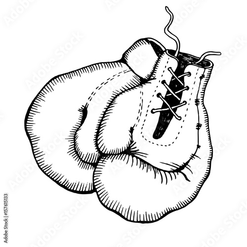 Boxing gloves engraving style vector illustration