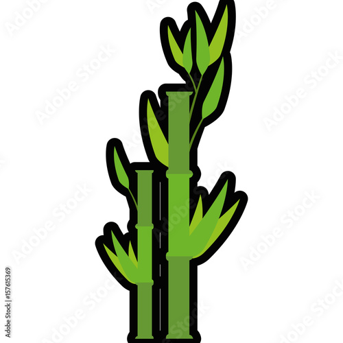 Bamboo japanese plant icon vector illustration graphic design