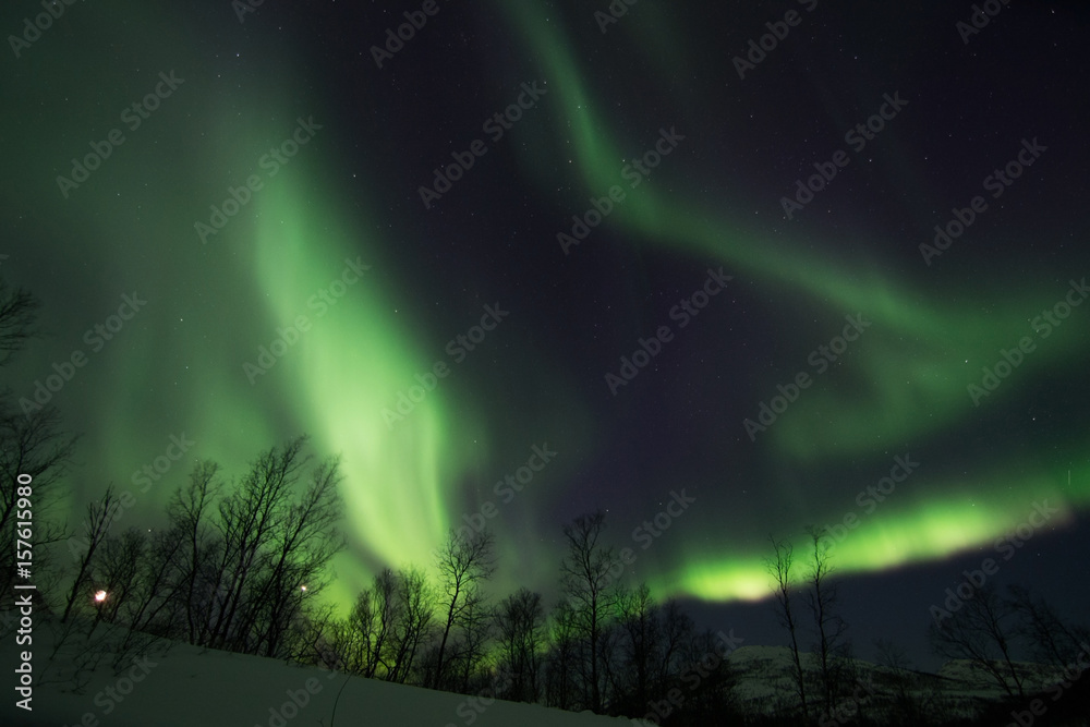 Polarlichter nahe Lyfjord, Norwegen
